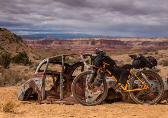 Photo by Patrick Hendry on Unsplash