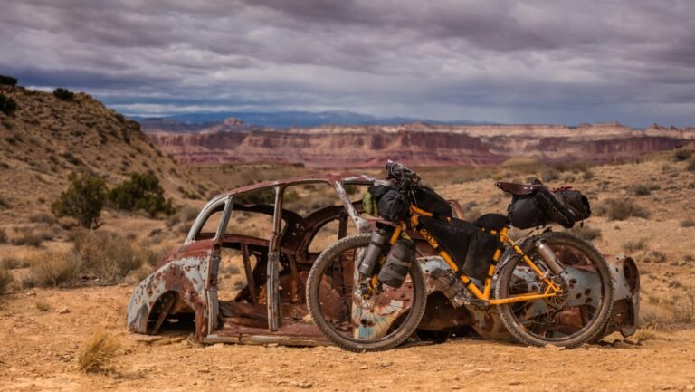 Photo by Patrick Hendry on Unsplash