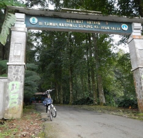 Cisaruni, Kebun Teh dan Susur Selokan