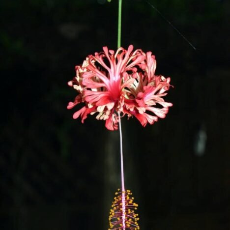 Touring Dengan Seli, Mengapa Tidak?