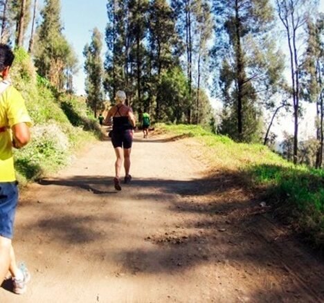 Hati-hati dengan Jok Sepeda Anda!