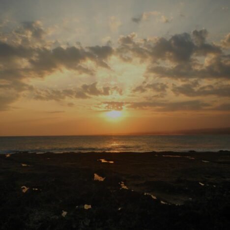 Siapa Bilang Olahraga Lari Murah …