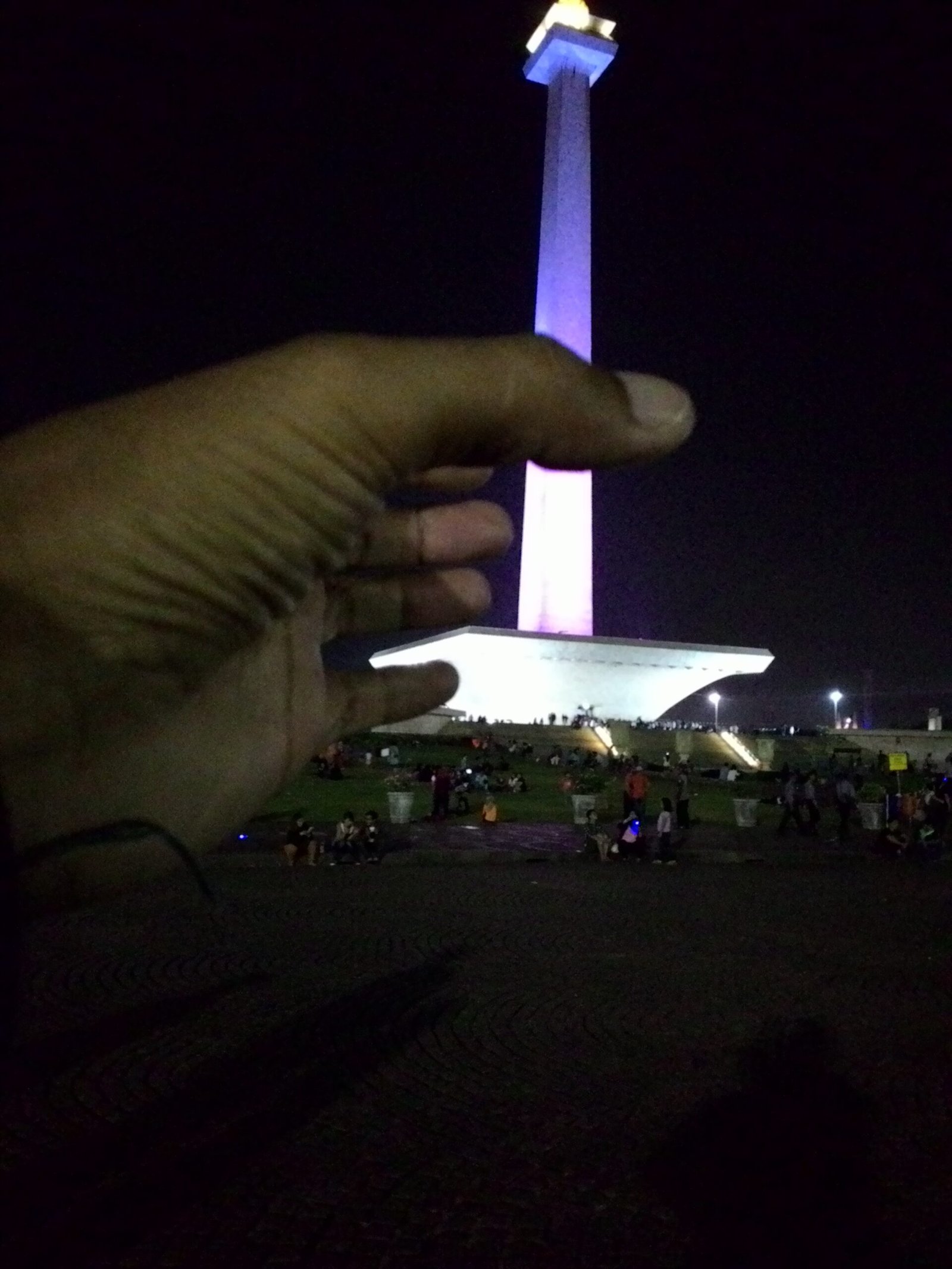 Wisata Malam Monas