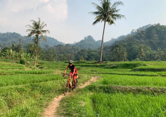 seputar gunung laya cariu