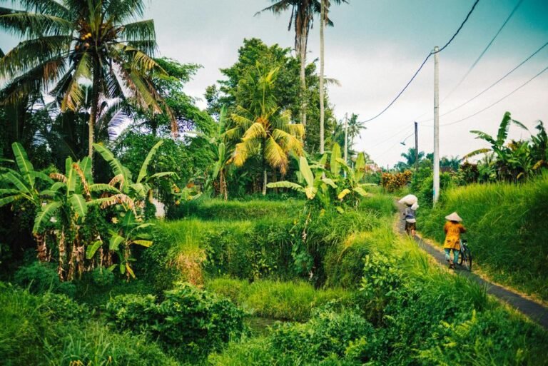 Sport tourism di Bali: bersepeda.