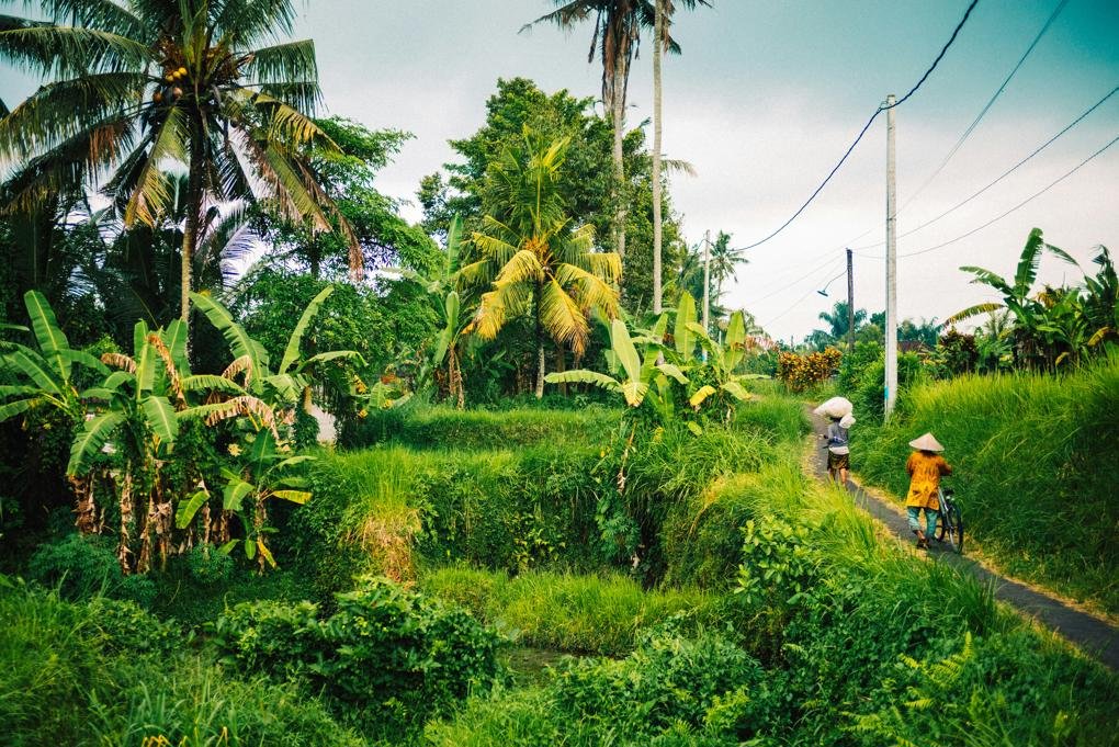 Sport tourism di Bali: bersepeda.